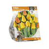 Baltus - Tulipa Darwin Hybrid Orange Lion per 5 bloembollen