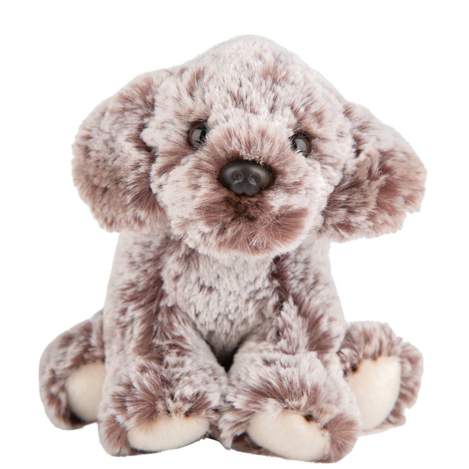 Pluche knuffel dieren Cockerpoo hond 13 cm Knuffel huisdieren