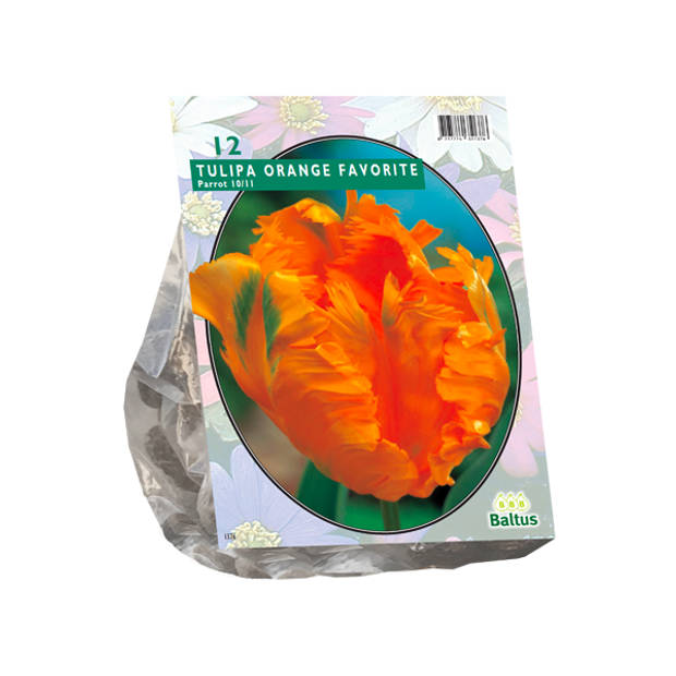 Baltus - Tulipa Orange Favourite Parkiet per 12 bloembollen