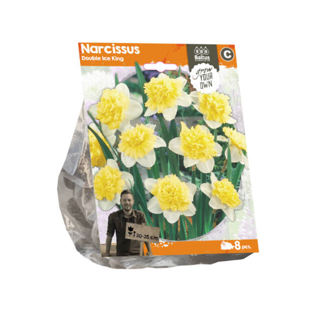 Baltus - Narcissus Double Ice King per 8 bloembollen