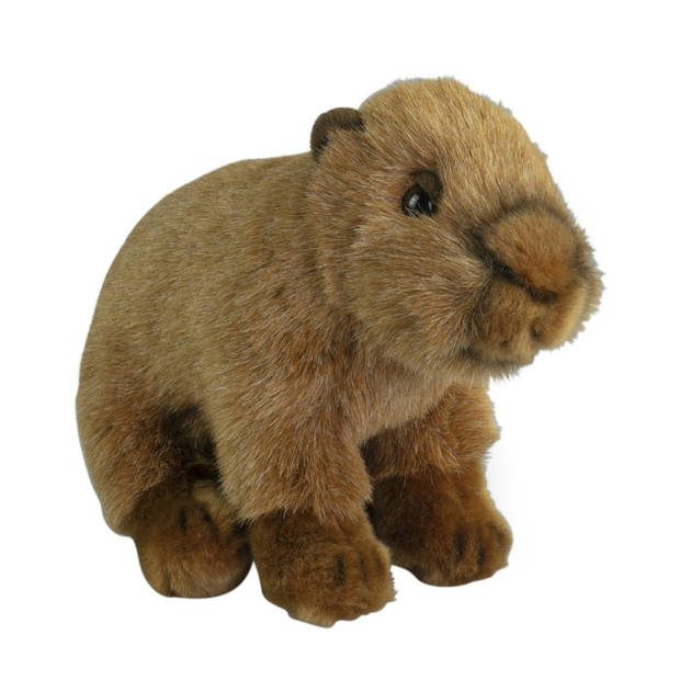 Nature Planet Knuffeldier Capybara - pluche stof - premium knuffels - bruin - 18 cm - Knuffeldier