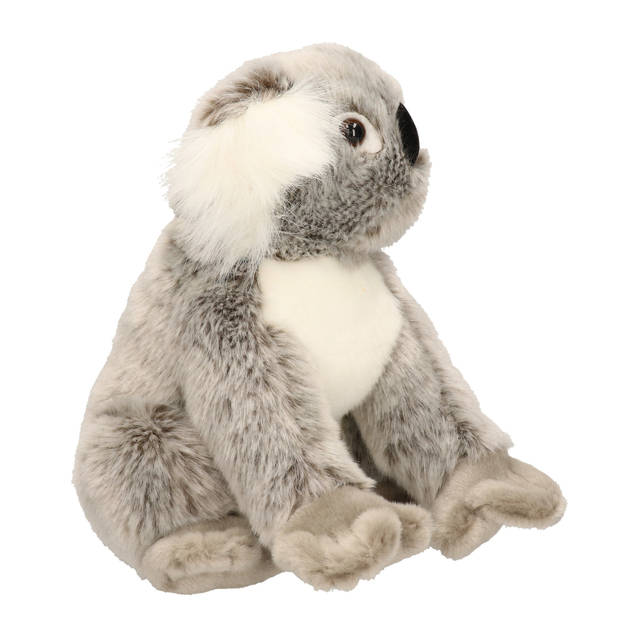 Knuffeldier koala 25 cm - Knuffeldier