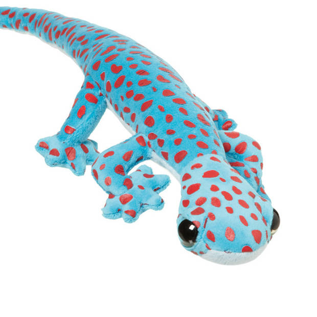 Nature Planet Knuffeldier Gekko Hagedis - zachte pluche stof - premium knuffels - blauw - 62 cm - Knuffeldier