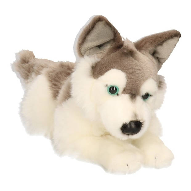 Grote Husky hond knuffeltje 30 cm - Knuffel huisdieren