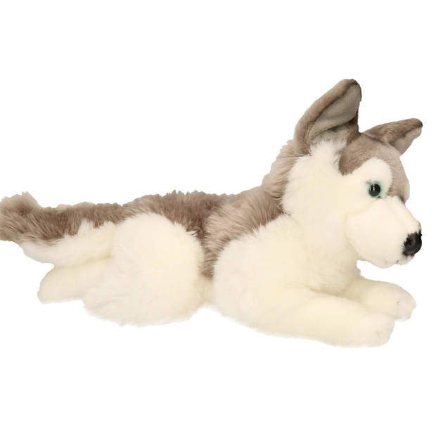 Grote Husky hond knuffeltje 30 cm - Knuffel huisdieren