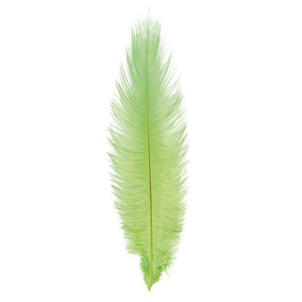 Chaks Struisvogelveer/sierveer - lime groen - 55-60 cm - decoratie/hobbymateriaal - Verkleedveren