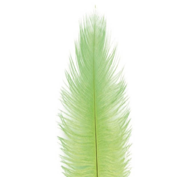 Chaks Struisvogelveer/sierveer - lime groen - 55-60 cm - decoratie/hobbymateriaal - Verkleedveren