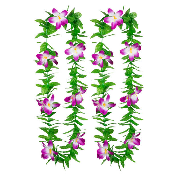 Boland Hawaii krans/slinger - 2x - Tropische kleuren mix groen/paars - Bloemen hals slingers - Verkleedkransen