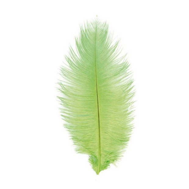 Chaks Struisvogelveren/sierveren - 2x - lime groen - 30-35 cm - decoratie/hobbymateriaal - Verkleedveren