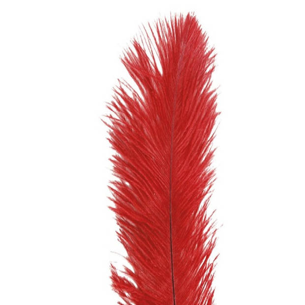 Chaks Struisvogelveer/sierveer - rood - 55-60 cm - decoratie/hobbymateriaal - Verkleedveren