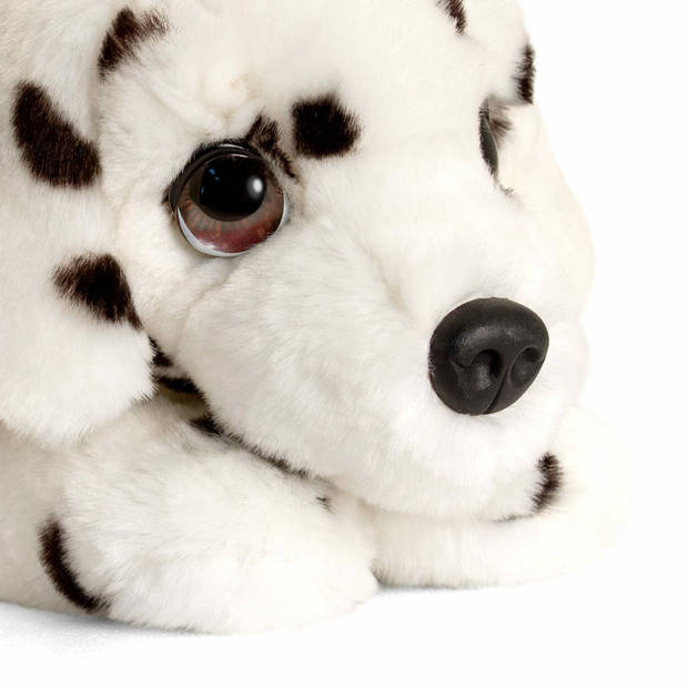 Keel Toys Knuffeldier Puppy Dalmatier hond - zachte pluche stof - premium knuffels - 25 cm - Knuffel huisdieren