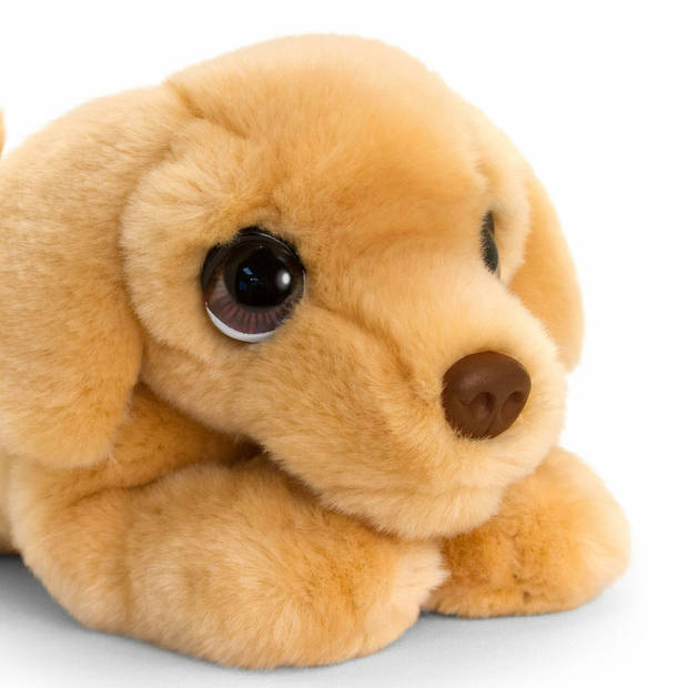 Keel Toys Knuffeldier Puppy Labrador hond - zachte pluche stof - premium knuffels - beige - 25 cm - Knuffel huisdieren