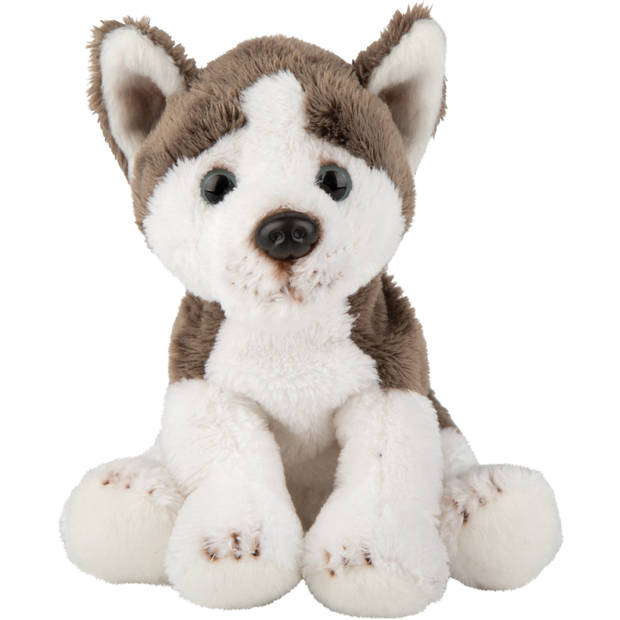 Pluche knuffel dieren Husky hond 13 cm - Knuffel huisdieren