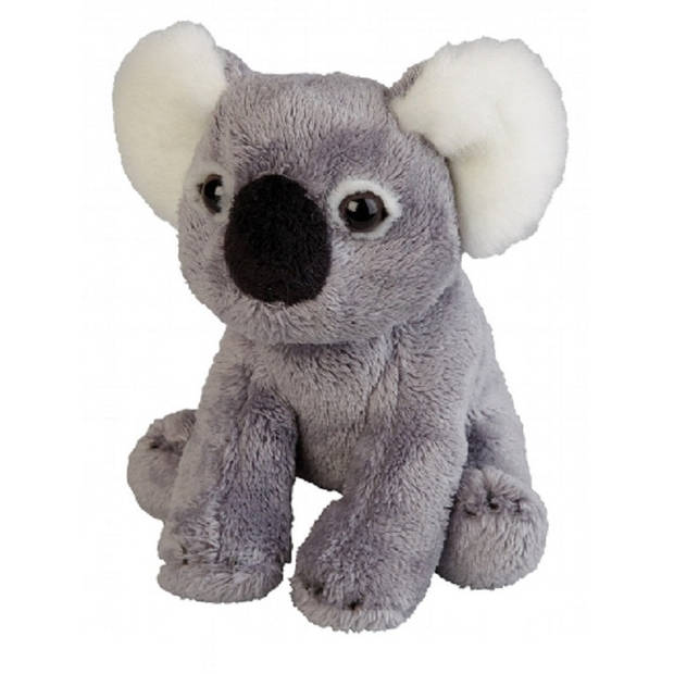 Pluche koala beer dieren knuffel 15 cm - Knuffeldier