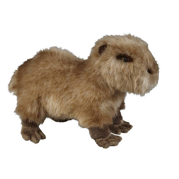 Bruine capibaras knuffels 28 cm knuffeldieren - Knuffel bosdieren