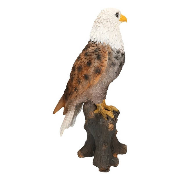 Dierenbeeld vogel adelaar/arend - 36 cm - roofvogels - polystone - binnen/buiten - Tuinbeelden