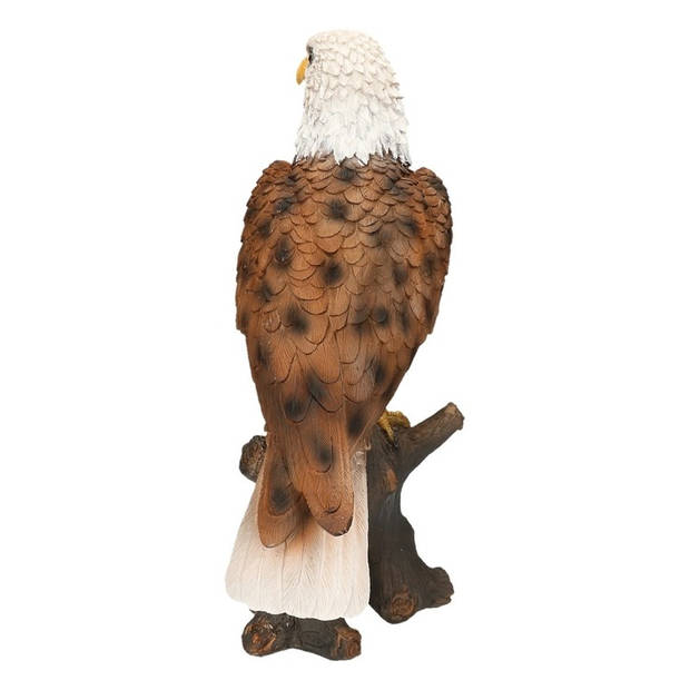 Dierenbeeld vogel adelaar/arend - 36 cm - roofvogels - polystone - binnen/buiten - Tuinbeelden