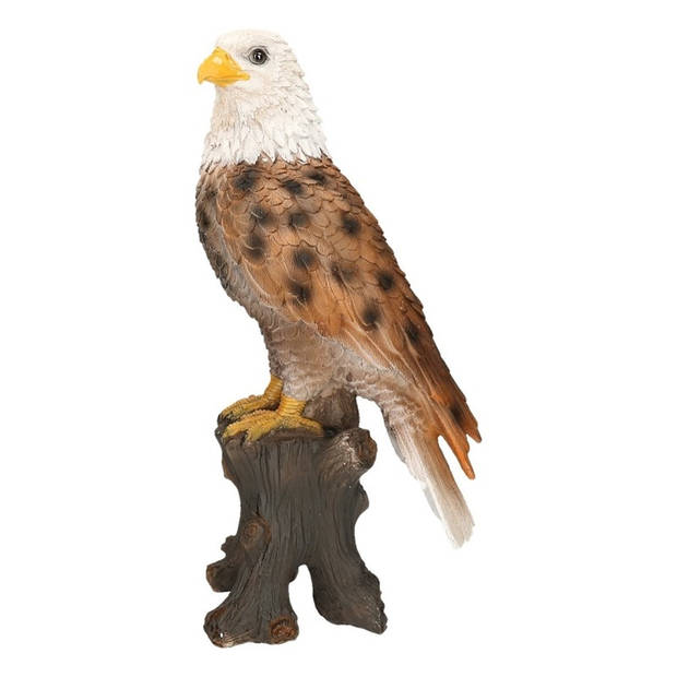 Dierenbeeld vogel adelaar/arend - 36 cm - roofvogels - polystone - binnen/buiten - Tuinbeelden