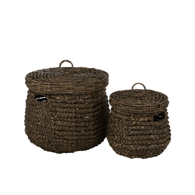 J-line - Set 2 Manden Maurice Waterhyacinth Donkerbruin - 50x50x44cm