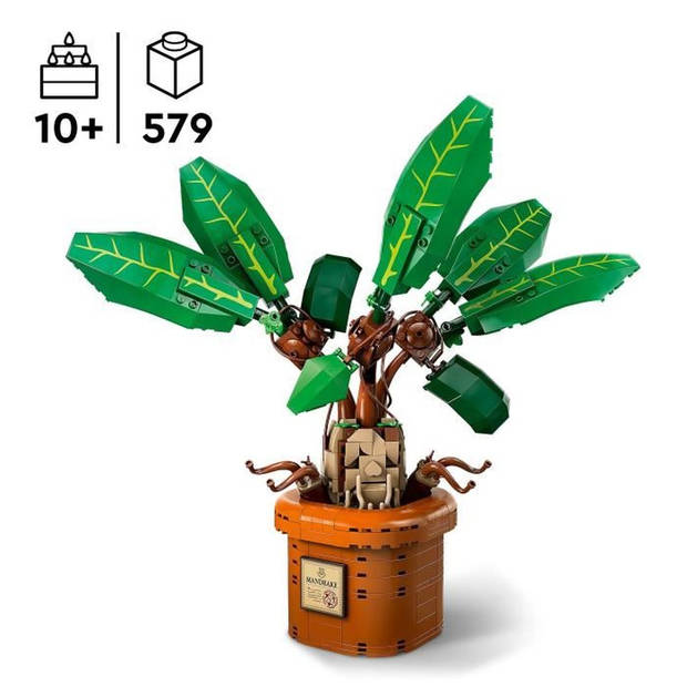 LEGO Harry Potter 76433 Alruin - Plant en pot - Magisch cadeau-idee voor kinderen