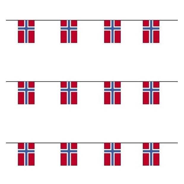 3x Papieren vlaggenlijnen Noorwegen - Vlaggenlijnen