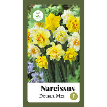 2 stuks - JUB - Narcissus Dubbel mix 35 bollen