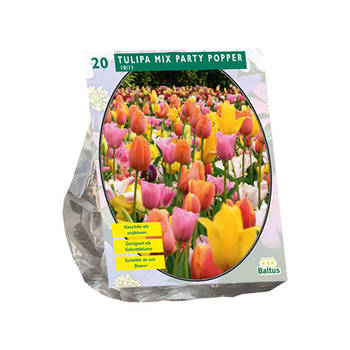 Baltus - Tulipa Mix Party Popper per 20 bloembollen