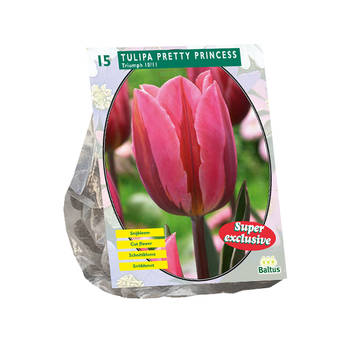 Baltus - Tulipa Pretty Princess per 15 bloembollen