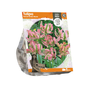 Baltus - Tulipa Parrot Green Wave per 5 bloembollen