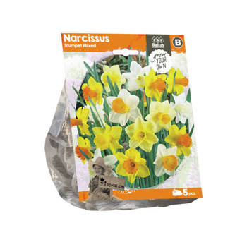 Baltus - Narcissus Trumpet Mixed per 5 bloembollen