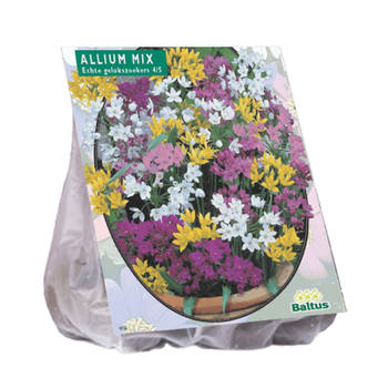 3 stuks - Baltus - Allium Mix