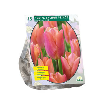 Baltus - Tulipa Salmon Prince Enkel Vroeg per 15 bloembollen