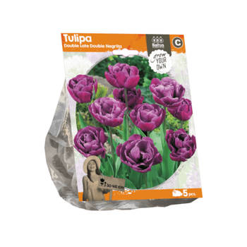 3 stuks - Baltus - Tulipa Double Late Double Negrita per 5