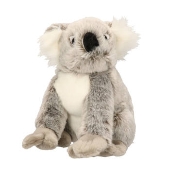 Knuffeldier koala 25 cm - Knuffeldier