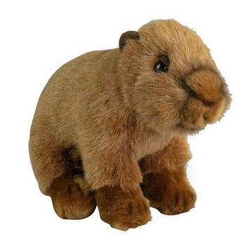 Nature Planet Knuffeldier Capybara - pluche stof - premium knuffels - bruin - 20 cm - Knuffeldier