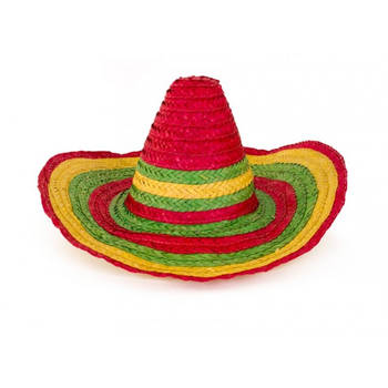 Partyxplosion Mexicaanse Sombrero hoed voor heren - carnaval/verkleed accessoires - multi kleuren - Verkleedhoofddeksels