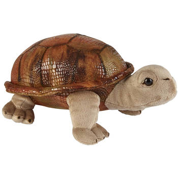 Pluche knuffel dieren Land Schildpad van 32 cm - Knuffeldier