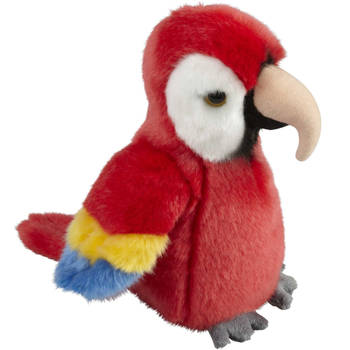 Pluche knuffel dieren rode macaw papegaai vogel van 19 cm - Vogel knuffels