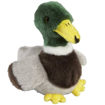 Pluche knuffel dieren Wilde Eend vogel van 18 cm - Vogel knuffels