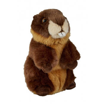 Pluche bruine bever knuffel 18 cm knuffeldieren - Knuffel bosdieren