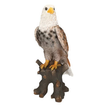 Dierenbeeld vogel adelaar/arend - 36 cm - roofvogels - polystone - binnen/buiten - Tuinbeelden