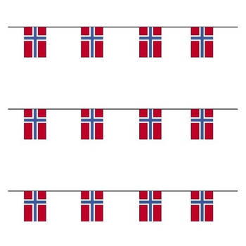 3x Papieren vlaggenlijnen Noorwegen - Vlaggenlijnen