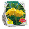 Baltus - Fritillaria Imperialis Lutea per 2 bloembollen