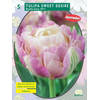 2 stuks - Baltus - Tulipa Sweet Desire per 5