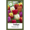 2 stuks - JUB - Tulipa Triumph mix 75 bollen