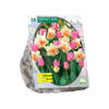 Baltus - Perfect Duo Narcissus Tulipa per 20 bloembollen