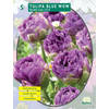 2 stuks - Baltus - Tulipa Blue Wow per 5