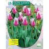 2 stuks - Baltus - Tulipa Claudia, Leliebloemig per 25