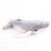 Pluche whale bultrug 24 cm - Knuffel zeedieren