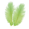 Chaks Struisvogelveren/sierveren - 2x - lime groen - 30-35 cm - decoratie/hobbymateriaal - Verkleedveren